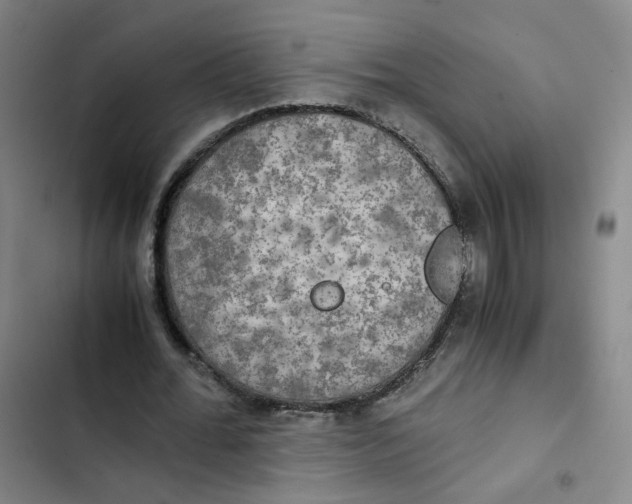 X0000102840676200809151104