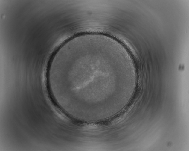 X0000102840677200809151104