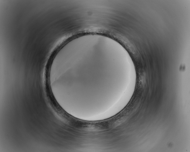 X0000102840678200809151104