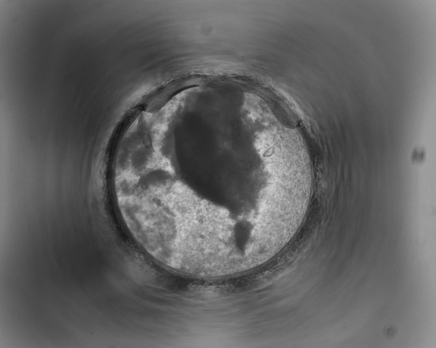 X0000102840679200809151104