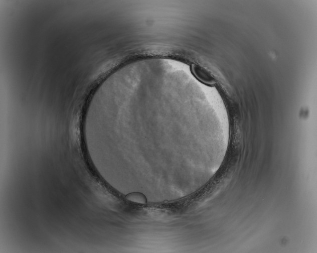 X0000102840681200809151104