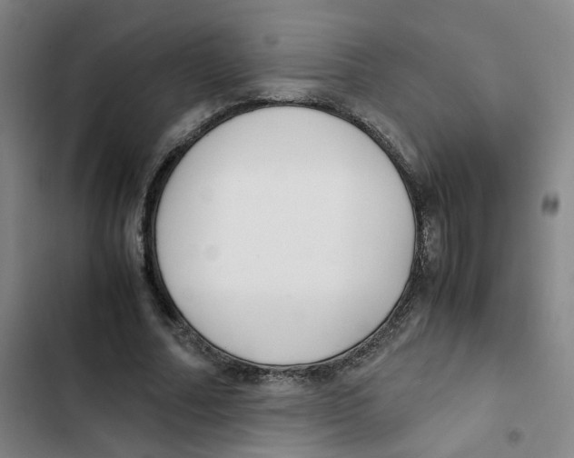 X0000102840682200809151104