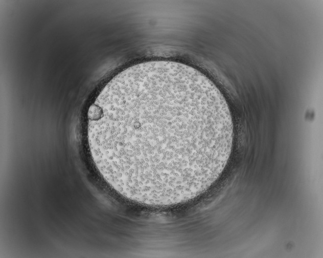 X0000102840683200809151104