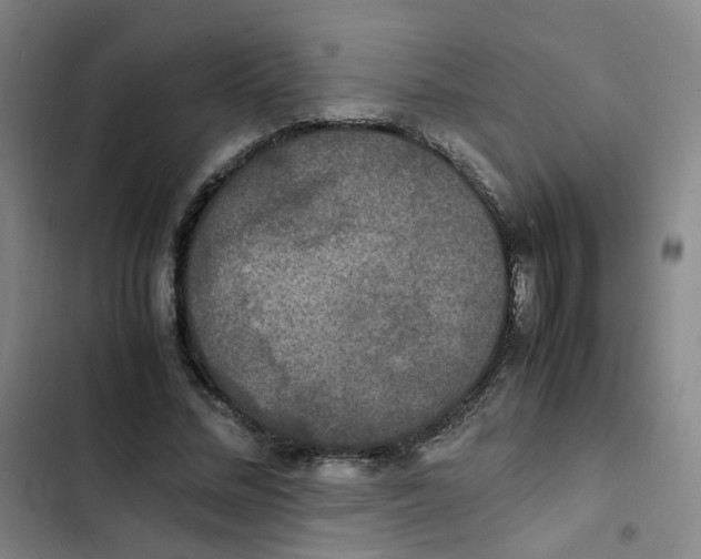 X0000102840684200809151104