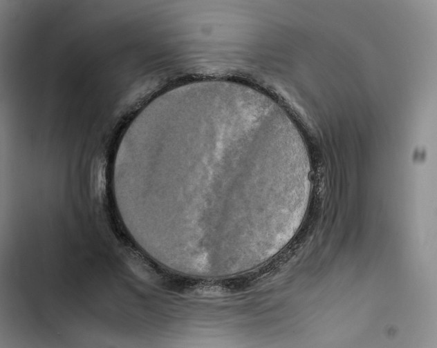 X0000102840685200809151104