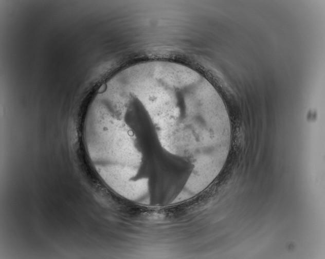 X0000102840687200809151104