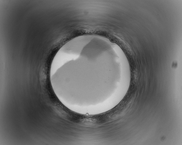 X0000102840691200809151104