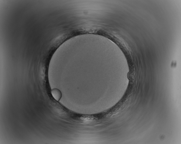 X0000102840693200809151104