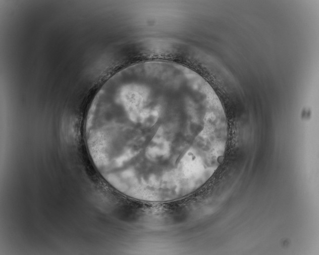 X0000102840695200809151104