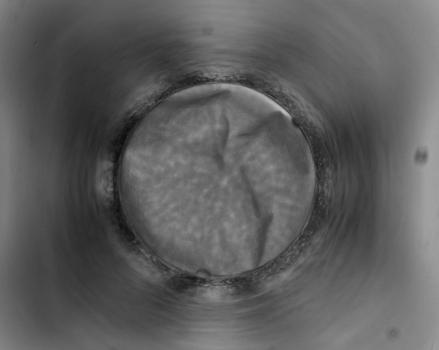 X0000102840696200809151104