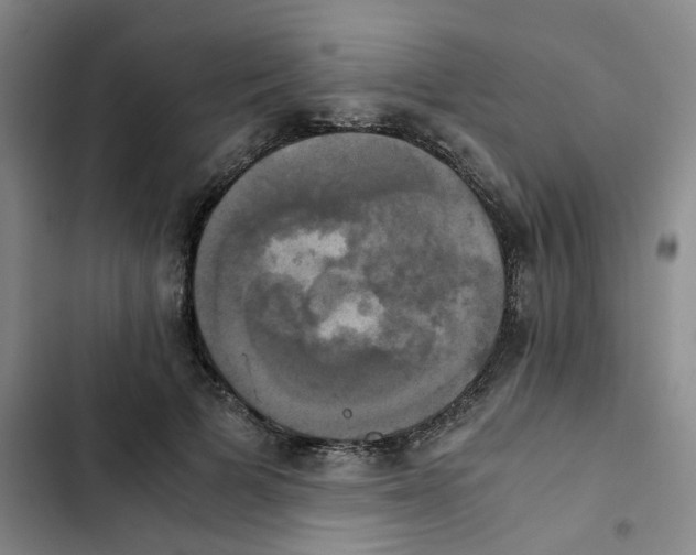 X0000102840697200809151104