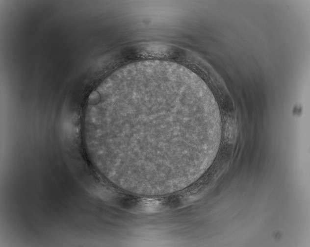 X0000102840701200809151104