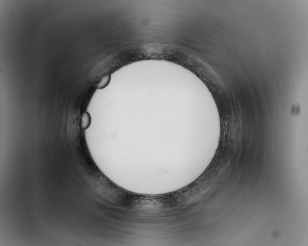 X0000102840702200809151104