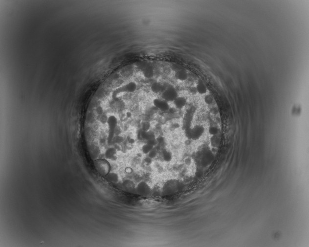 X0000102840703200809151104