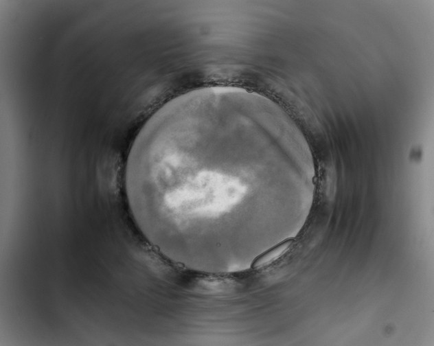 X0000102840712200809151104