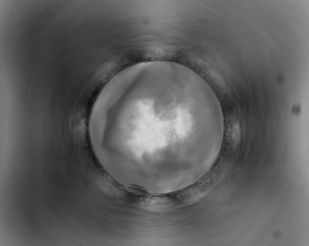 X0000102840716200809151104