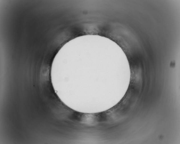 X0000102840717200809151104