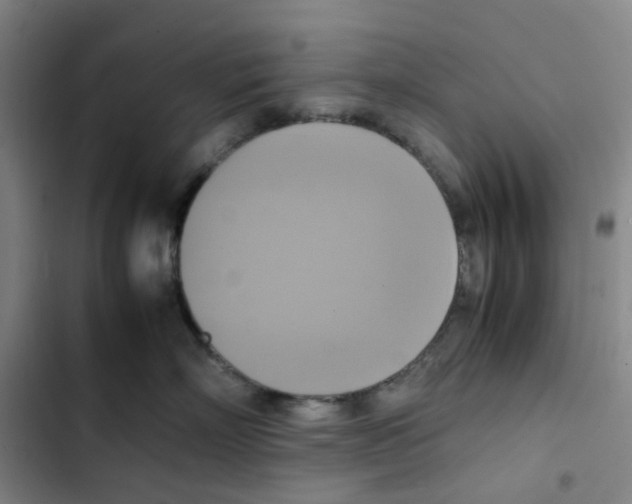 X0000102840718200809151104