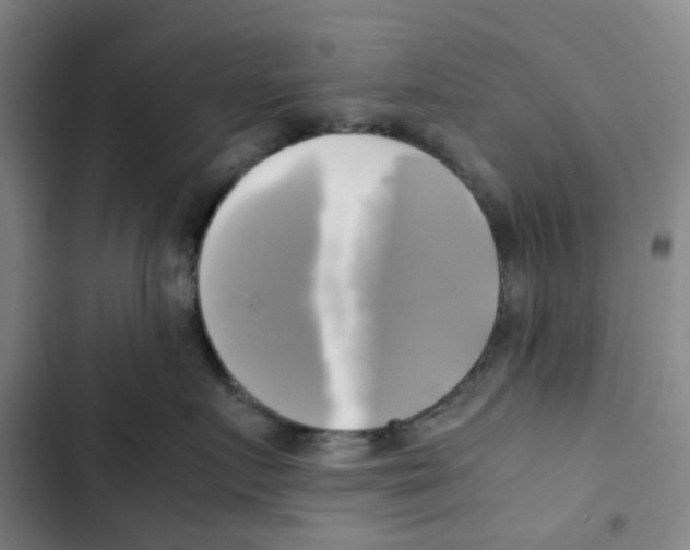 X0000102840719200809151104