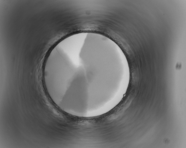 X0000102840721200809151103