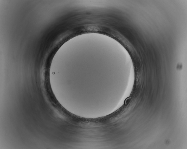 X0000102840722200809151103