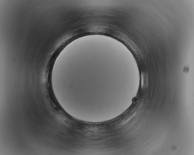 X0000102840723200809151103