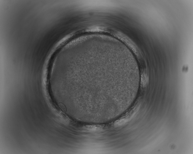 X0000102840724200809151103