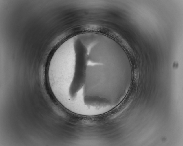 X0000102840725200809151103