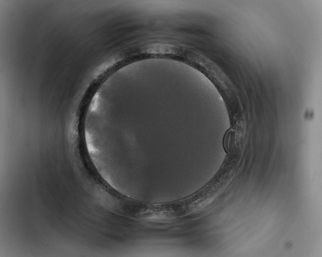 X0000102840727200809151103