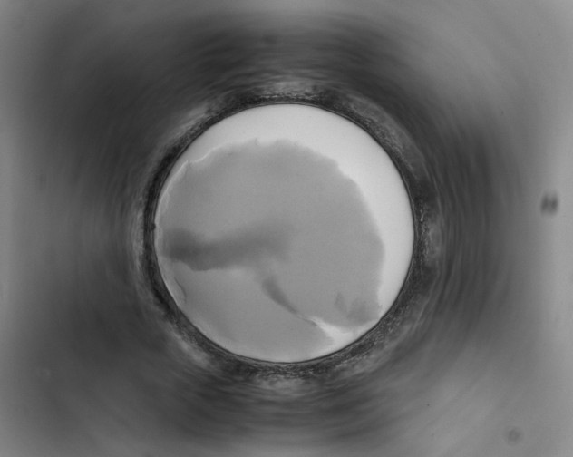 X0000102840729200809151103