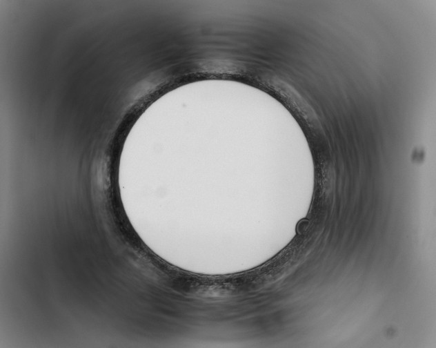 X0000102840731200809151103