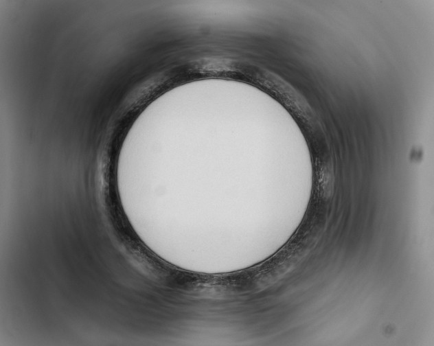 X0000102840732200809151103