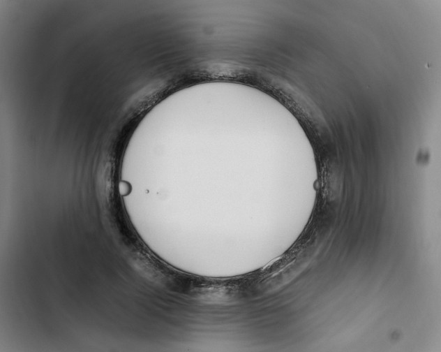 X0000102840740200809151103