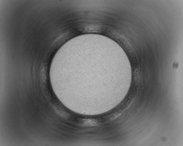 X0000102840741200809151103