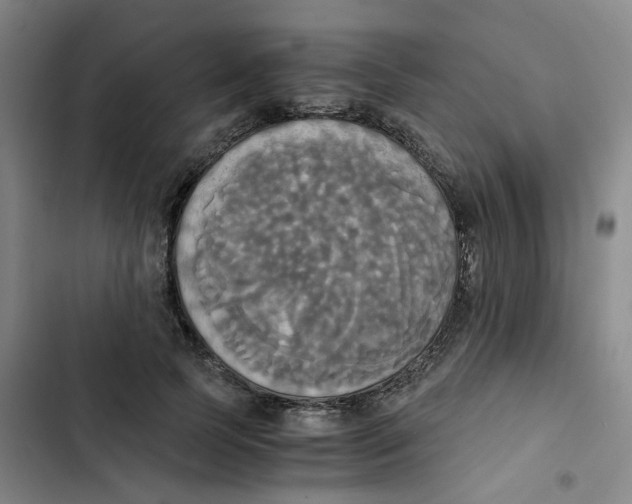 X0000102840745200809151103