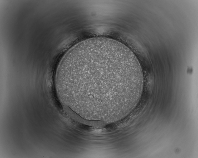 X0000102840746200809151103