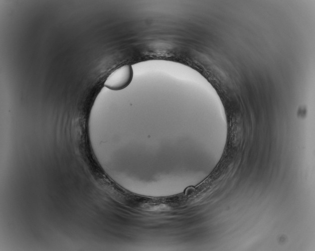 X0000102840747200809151103