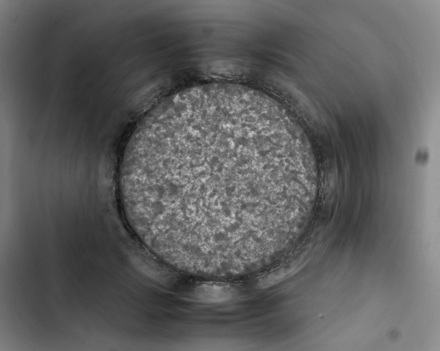 X0000102840749200809151103