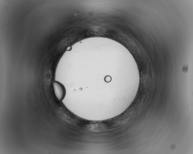 X0000102840752200809151103