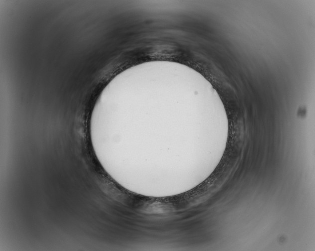 X0000102840755200809151103