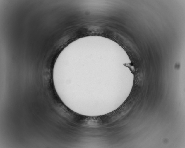 X0000102840756200809151103