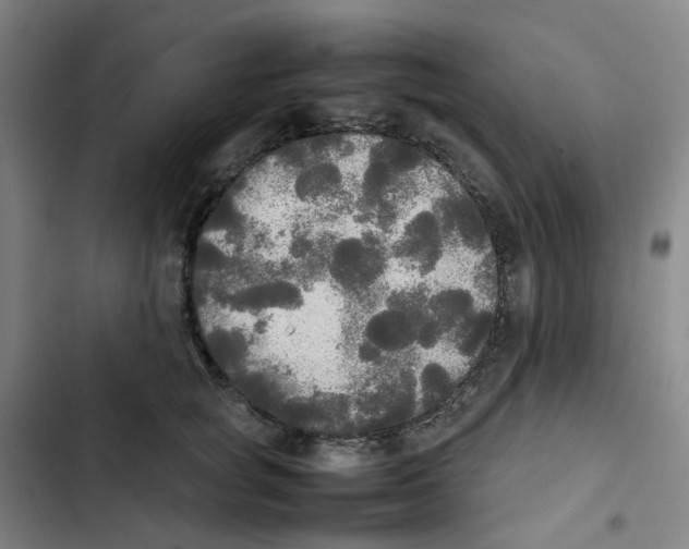 X0000102840757200809151103