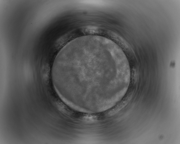 X0000102840760200809151104