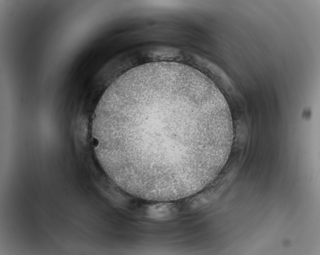 X0000102840761200809151104