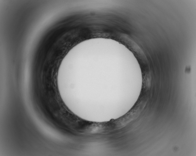 X0000102840764200809151104