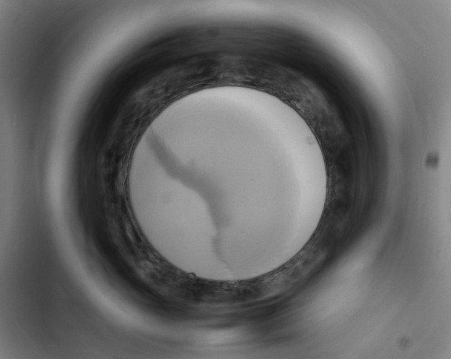 X0000102840765200809151104