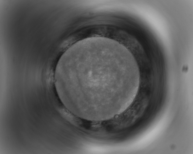 X0000102840766200809151104