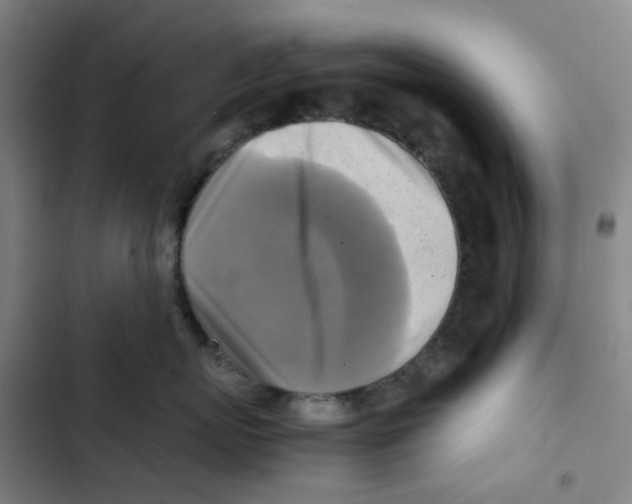 X0000102840767200809151104