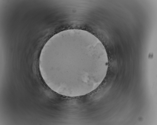 X0000102840769200809151103