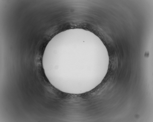 X0000102840770200809151103